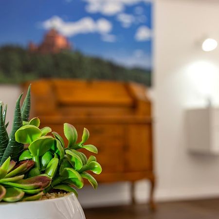 Righi Suite Apartment Boloňa Exteriér fotografie